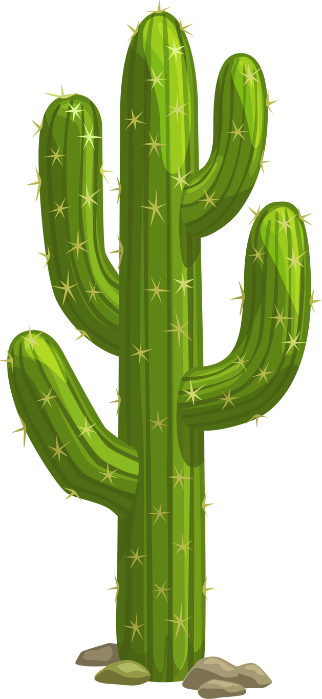 Green Cactus, Mexican Giant Succulent Cacti Plant