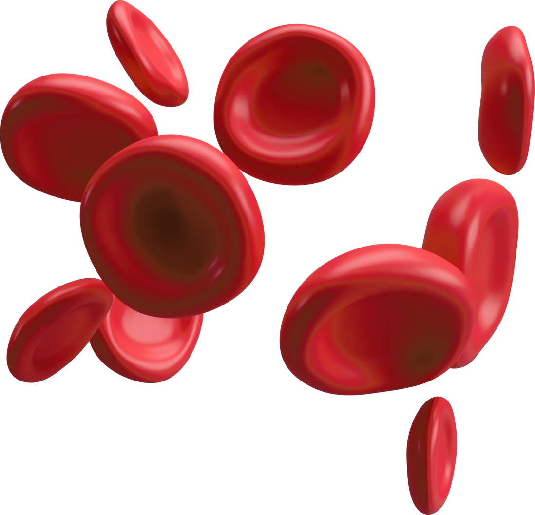 3d flow red blood cells iron platelets erythrocyte. Realistic medical analysis illustration isolated transparent png background