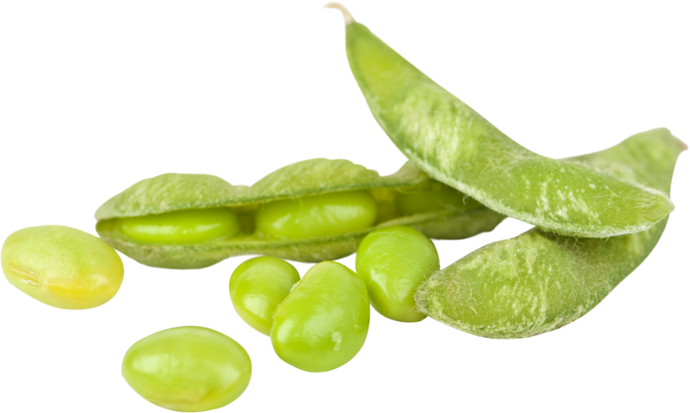 Soy Beans