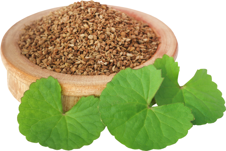 Ajwain Seeds with Thankuni Leaves